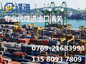 代理測量儀器進口報關(guān)與國內(nèi)貿(mào)易代理綜合指南